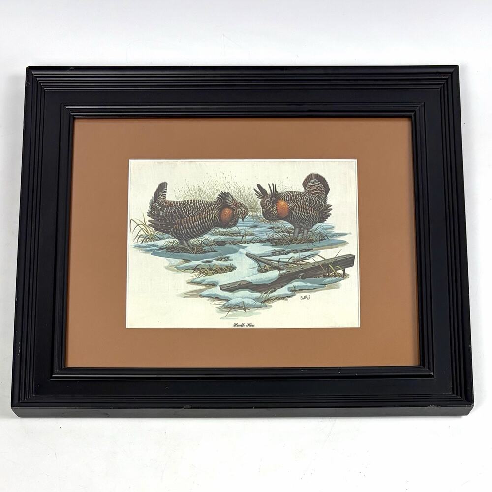 VTG Don Balke Litho Bird Print Heath Hen Prairie Chicken Matted Framed 17x14”